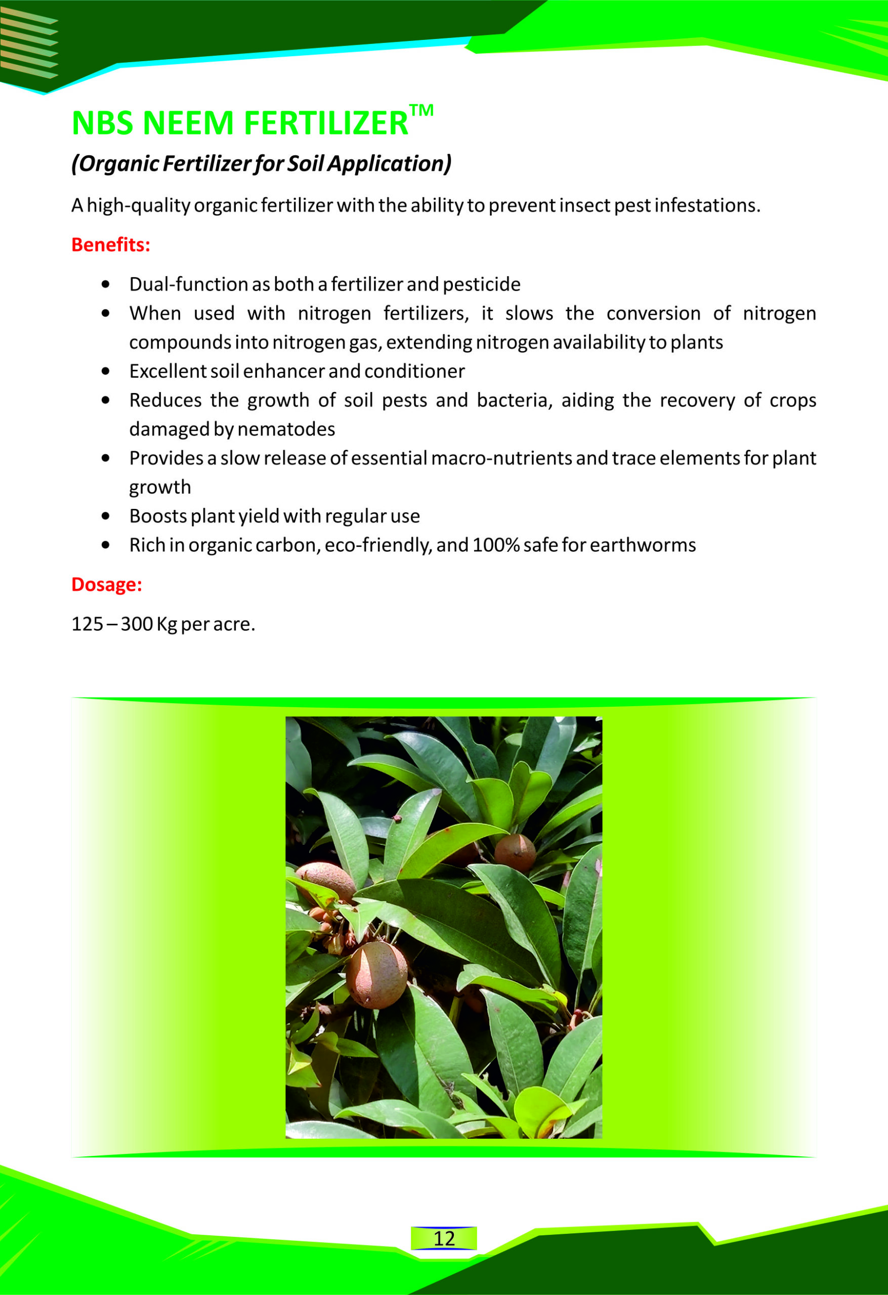 NBS Neem Fertilizer