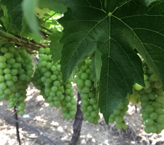 PHOTO-2023-10-03-14-34-21-2 1