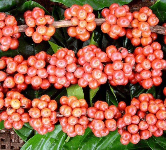 PHOTO-2023-10-03-14-34-26 1